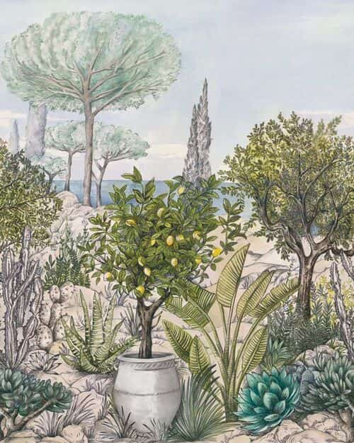 Panoramique Baux de Provence de la collection Azur par Caselio. Ce dernier évoque aux traits de crayon délicats et aux couleurs douces, les paysages méditerranéens des gravures d’antan.