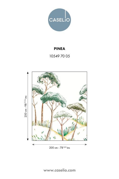 Panoramique Pinéa de la collection Azur par Caselio célèbre le retour du pin, symbole des côtes méditerranéennes escarpées.