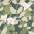 Argile verte