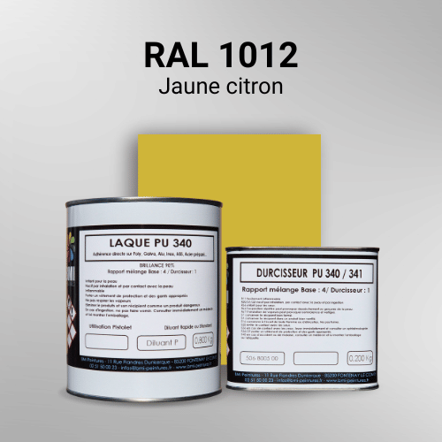 Laque polyuréthane professionnelle en RAL 1012 Jaune citron pour vos supports bruts. Finition durable, haute adhérence et séchage rapide.