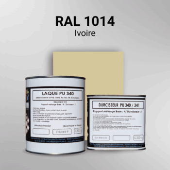 Laque polyuréthane professionnelle en RAL 1014 Ivoire pour vos supports bruts. Finition durable, haute adhérence et séchage rapide.