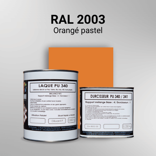 Laque polyuréthane professionnelle en RAL 2003 Orangé pastel pour vos supports bruts. Finition durable, haute adhérence et séchage rapide.