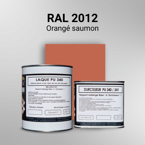 Laque PU 340 RAL 2012 Orangé saumon Laque polyuréthane professionnelle en RAL 2012 Orangé saumon pour vos supports bruts. Finition durable, haute adhérence et séchage rapide.