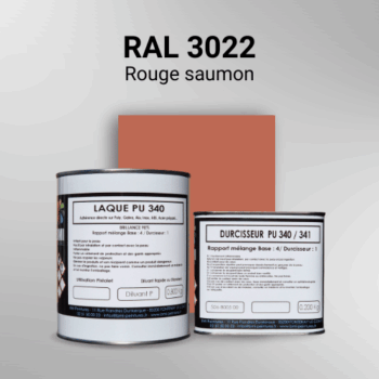 Laque polyuréthane professionnelle en RAL 3022 Rouge saumon pour vos supports bruts. Finition durable, haute adhérence et séchage rapide.