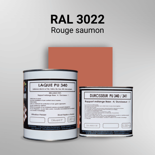 Laque PU 340 RAL 3022 Rouge saumon Laque polyuréthane professionnelle en RAL 3022 Rouge saumon pour vos supports bruts. Finition durable, haute adhérence et séchage rapide.