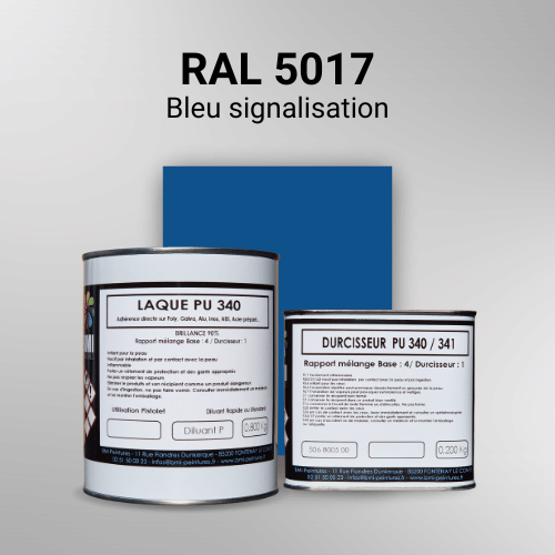 Laque polyuréthane professionnelle en RAL 5017 Bleu signalisation pour vos supports bruts. Finition durable, haute adhérence et séchage rapide.
