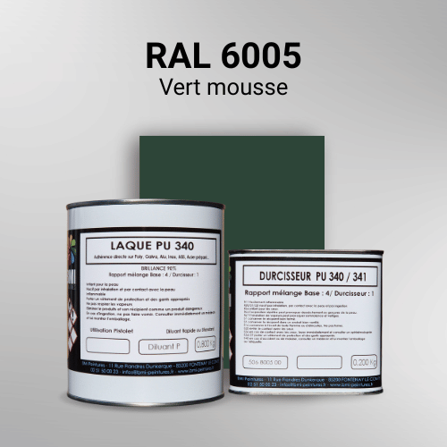 Laque polyuréthane professionnelle en RAL 6005 Vert mousse pour vos supports bruts. Finition durable, haute adhérence et séchage rapide.