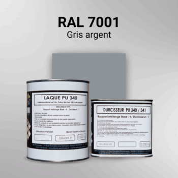 Laque polyuréthane professionnelle en RAL 7001 Gris argent pour vos supports bruts. Finition durable, haute adhérence et séchage rapide.