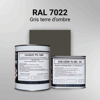Laque polyuréthane professionnelle en RAL 7022 Gris terre d'ombre pour vos supports bruts. Finition durable, haute adhérence et séchage rapide.