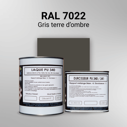 Laque polyuréthane professionnelle en RAL 7022 Gris terre d'ombre pour vos supports bruts. Finition durable, haute adhérence et séchage rapide.