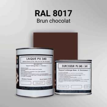 Laque polyuréthane professionnelle en RAL 8017 Brun chocolat pour vos supports bruts. Finition durable, haute adhérence et séchage rapide.