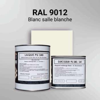 Laque polyuréthane professionnelle en RAL 9012 Blanc salle blanche pour vos supports bruts. Finition durable, haute adhérence et séchage rapide.