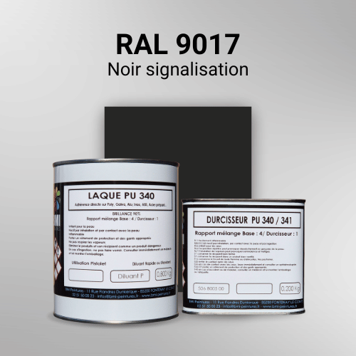 Laque polyuréthane professionnelle en RAL 9017 Noir signalisation pour vos supports bruts. Finition durable, haute adhérence et séchage rapide.