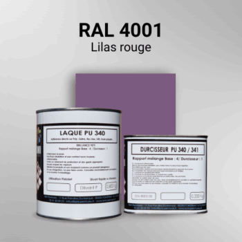 Laque polyuréthane professionnelle en RAL 4001 Lilas rouge pour vos supports bruts. Finition durable, haute adhérence et séchage rapide.