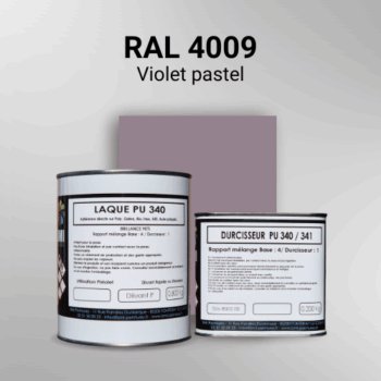 Laque polyuréthane professionnelle en RAL 4009 Violet pastel pour vos supports bruts. Finition durable, haute adhérence et séchage rapide.
