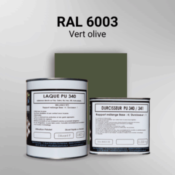Laque polyuréthane professionnelle en RAL 6003 Vert olive pour vos supports bruts. Finition durable, haute adhérence et séchage rapide.