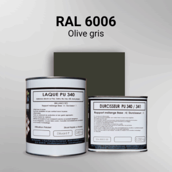 Laque polyuréthane professionnelle en RAL 6006 Olive gris pour vos supports bruts. Finition durable, haute adhérence et séchage rapide.