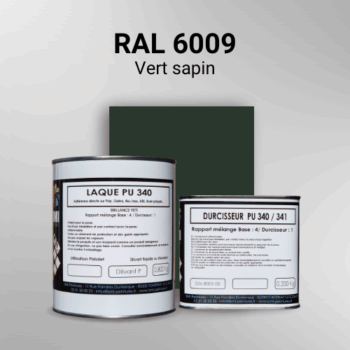 Laque polyuréthane professionnelle en RAL 6009 Vert sapin pour vos supports bruts. Finition durable, haute adhérence et séchage rapide.