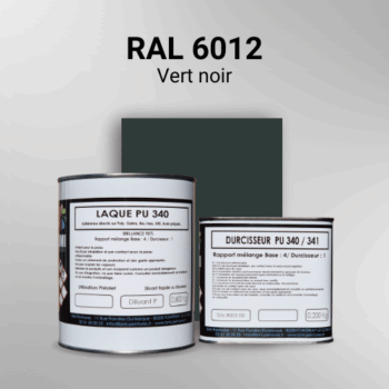 Laque polyuréthane professionnelle en RAL 6012 Vert noir pour vos supports bruts. Finition durable, haute adhérence et séchage rapide.