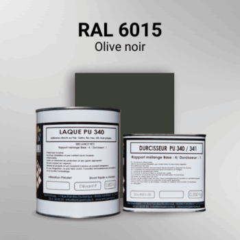 Laque polyuréthane professionnelle en RAL 6015 Olive noir pour vos supports bruts. Finition durable, haute adhérence et séchage rapide.