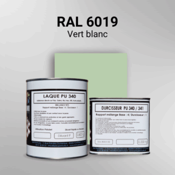 Laque polyuréthane professionnelle en RAL 6019 Vert blanc pour vos supports bruts. Finition durable, haute adhérence et séchage rapide.