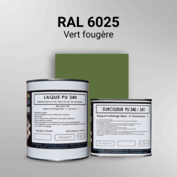 Laque polyuréthane professionnelle en RAL 6025 Vert fougère pour vos supports bruts. Finition durable, haute adhérence et séchage rapide.