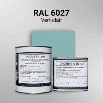 Laque polyuréthane professionnelle en RAL 6027 Vert clair pour vos supports bruts. Finition durable, haute adhérence et séchage rapide.