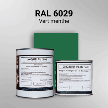 Laque polyuréthane professionnelle en RAL 6029 Vert menthe pour vos supports bruts. Finition durable, haute adhérence et séchage rapide.