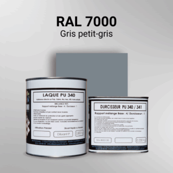 Laque polyuréthane professionnelle en RAL 7000 Gris petit-gris pour vos supports bruts. Finition durable, haute adhérence et séchage rapide.