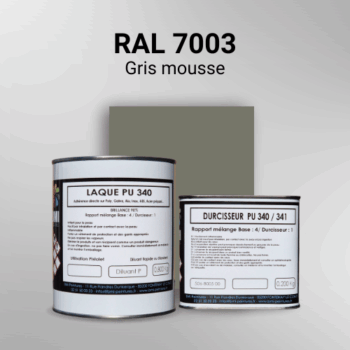Laque polyuréthane professionnelle en RAL 7003 Gris mousse pour vos supports bruts. Finition durable, haute adhérence et séchage rapide.