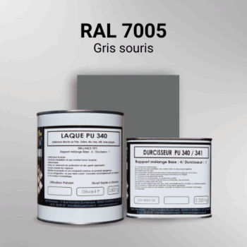 Laque polyuréthane professionnelle en RAL 7005 Gris souris pour vos supports bruts. Finition durable, haute adhérence et séchage rapide.