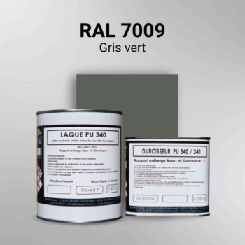 Laque polyuréthane professionnelle en RAL 7009 Gris vert pour vos supports bruts. Finition durable, haute adhérence et séchage rapide.