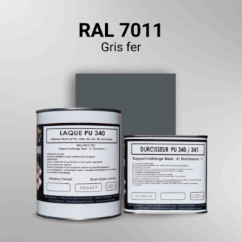 Laque polyuréthane professionnelle en RAL 7011 Gris fer pour vos supports bruts. Finition durable, haute adhérence et séchage rapide.
