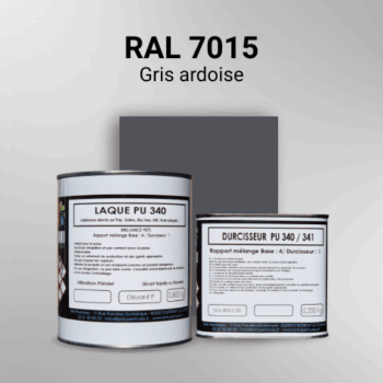 Laque polyuréthane professionnelle en RAL 7015 Gris ardoise pour vos supports bruts. Finition durable, haute adhérence et séchage rapide.