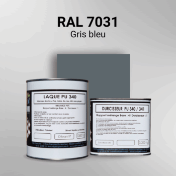 Laque polyuréthane professionnelle en RAL 7031 Gris bleu pour vos supports bruts. Finition durable, haute adhérence et séchage rapide.