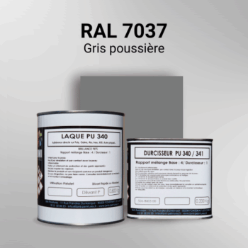 Laque polyuréthane professionnelle en RAL 7037 Gris poussière pour vos supports bruts. Finition durable, haute adhérence et séchage rapide.