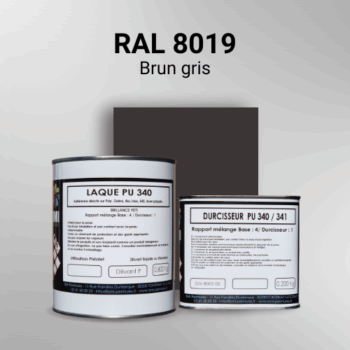 Laque polyuréthane professionnelle en RAL 8019 Brun gris pour vos supports bruts. Finition durable, haute adhérence et séchage rapide.