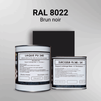Laque polyuréthane professionnelle en RAL 8022 Brun noir pour vos supports bruts. Finition durable, haute adhérence et séchage rapide.